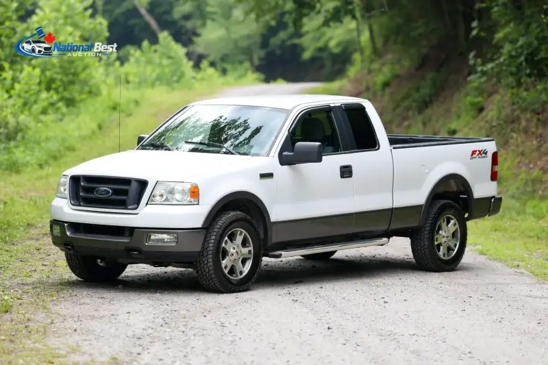2005 FORD F-150 FX4 photo 2