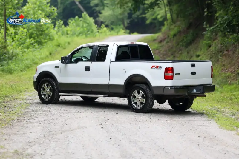 2005 FORD F-150 FX4 photo 10