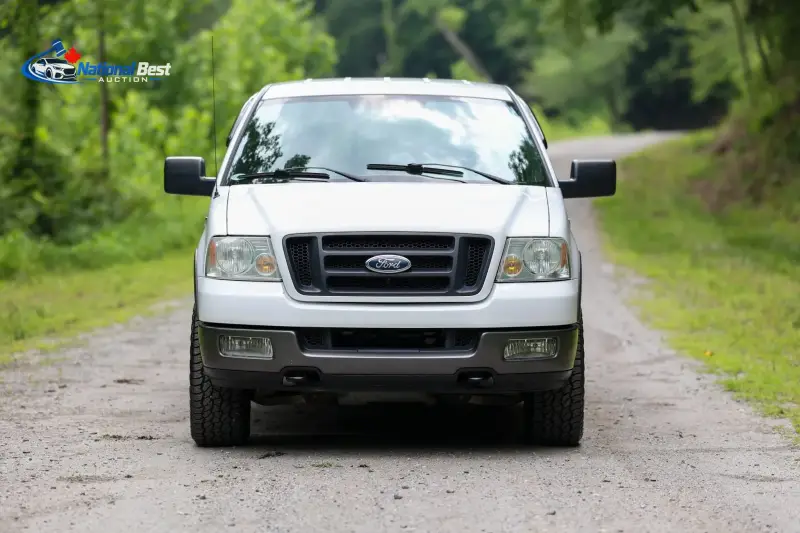 2005 FORD F-150 FX4 photo 3