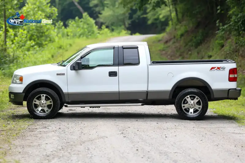 2005 FORD F-150 FX4 photo 11